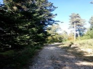 Achat vente terrain Le Chambon Sur Lignon
