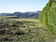 Achat vente terrain Saint Remy Sur Durolle
