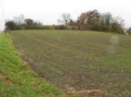 Immobilier Montaigu Le Blin