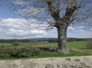 Maison de village / ville Saint Romain Lachalm