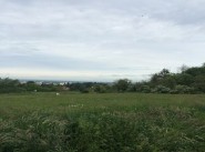 Terrain 